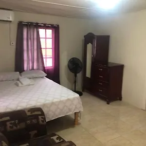 Apartments@west Village 4- Studio Jamaica