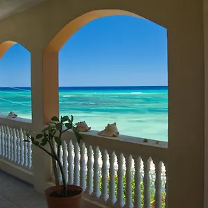 Calypso Jamaica Jamaica